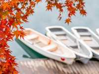 🍁✨ Goshikinuma – The Five Colored Ponds, Urabandai, Fukushima ✨🌿