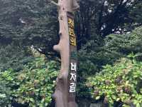 チェジュ島