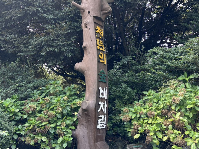 チェジュ島