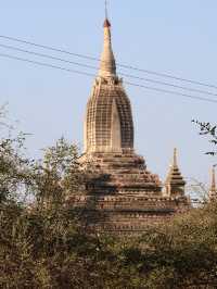 Shwe-gyu-gyi