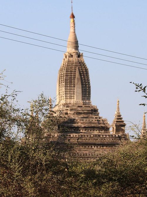 Shwe-gyu-gyi