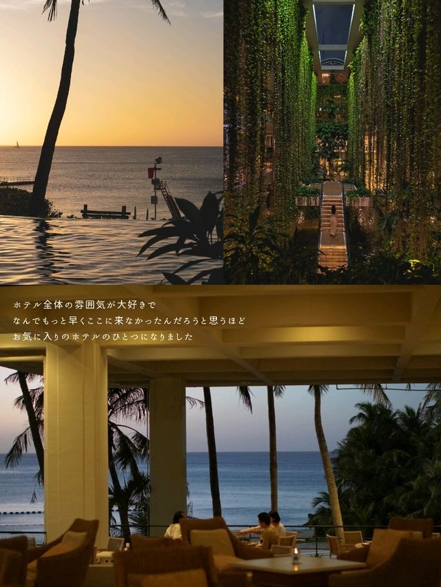 【沖縄】もっと早く泊まりたかった自然と建築美に癒される圧倒的なリゾート🌴