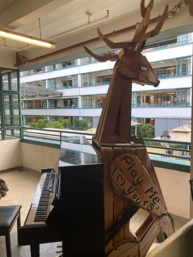 Reasons to Fall in Love with Central and Sheung Wan