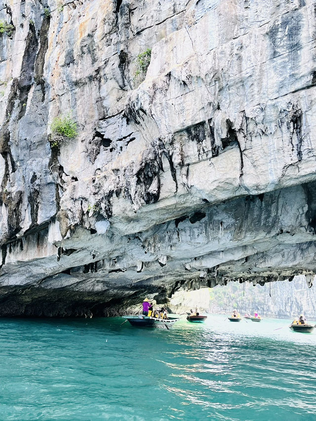 Zero Planning, All Relaxing: Cruising Halong Bay 🛶🇻🇳