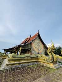 ชมต้นไม้เรืองแสง สายชิลต้องมา วัดสิรินธรวรารามภูพร้