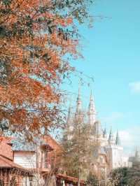 🏰✨ Shanghai Disneyland