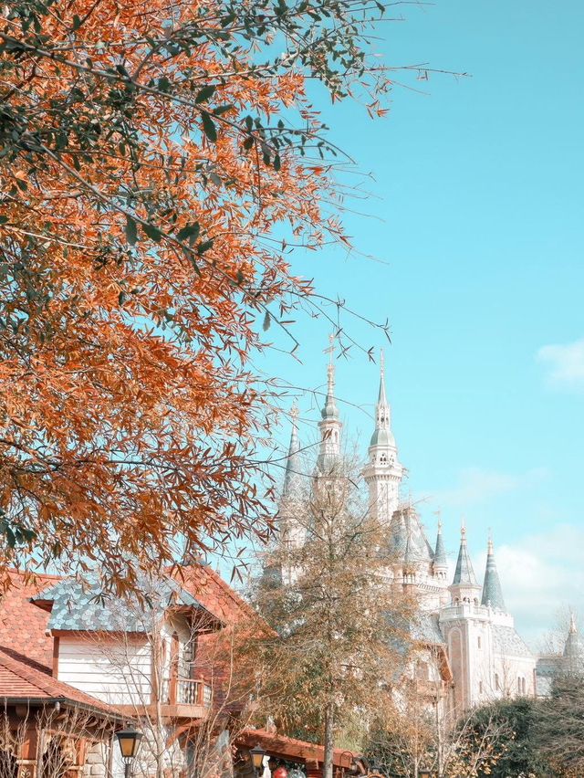 🏰✨ Shanghai Disneyland