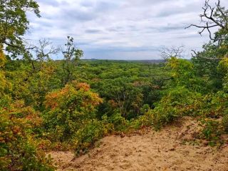 🏖️🌾 印第安納沙丘國家公園－沙漠與天空與寧靜的交會處