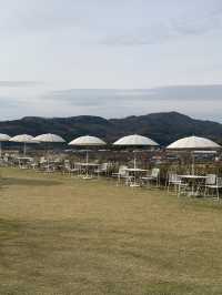 청도 감성카페 소우모우