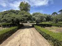 Jardim Botânico da Ajuda