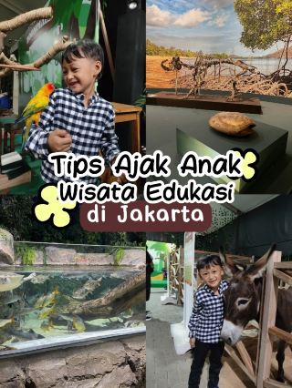 ✨ Fun weekend with your little one to Educational Tourism 🐑