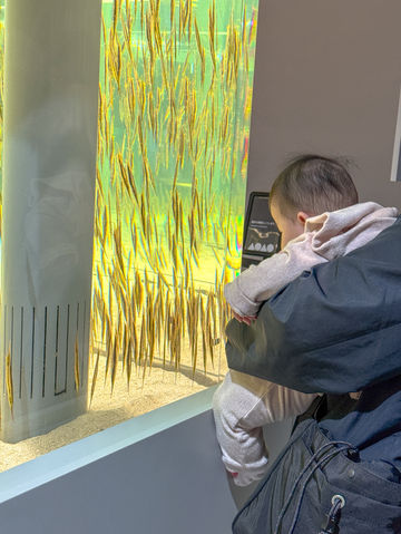 아기랑 삿포로여행에서 꼭 가봐야하는 가이드추천코스🐧 아기랑 삿포로여행에서 꼭 가봐야하는 가이드추천코스🐧