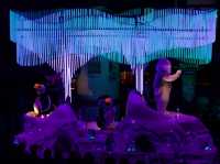 🎠빛과 음악이 춤추는 순간, 롯데월드 퍼레이드 여행기