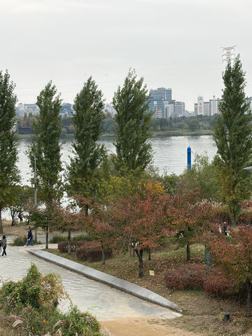 🌿 망원동 데이트 코스, 한강에서 카페까지의 여유로운 하루 ☕ 🌿 망원동 데이트 코스, 한강에서 카페까지의 여유로운 하루 ☕