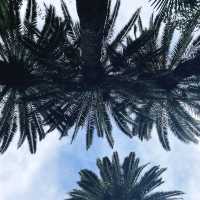 A Jungle in the Mediterranean: Family Adventure at Val Rahmeh Garden