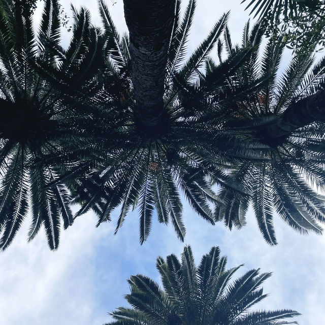 A Jungle in the Mediterranean: Family Adventure at Val Rahmeh Garden