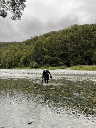 뉴질랜드 여행지 추천—《서해안의 웅장한 입구: 하스트 패스》
