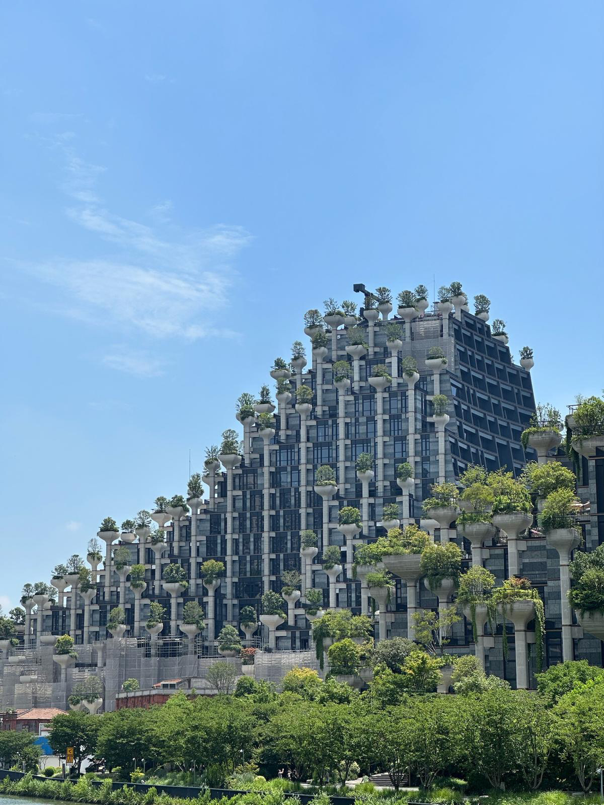 #11月好去處2025 

位於蘇州河畔的天安千樹，被譽為現代巴比倫空中花園，它外立1000根柱子，而柱子頂部載有綠色植物，加上山的建築外形，令它看來就像一個懸浮中的森林，是一個十分獨特的建築。

天安千樹是設計紐約海上漂浮公園（Little Island)的英國設計師Thomas Heatherwick 所設計，他的工作室也設在這𥚃，可免費參觀，在工作室內可看到他其他作品的模型及相片，對建築美學有興趣的朋友，記得來參觀。

在外面打完卡，有時間可以入商場看看，內部設計也很美。

地址： 上海市普陀區莫干山路600號（緊鄰蘇州河昌化路橋）

交通資訊：
地鐵13號線江寧路站1口，步行约8分鐘



#上海 #上海打卡 #上海景點 #天安千樹    