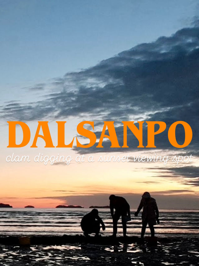 🇰🇷겨울철 캠핑하기 딱좋은 달산포 여행 완벽정리