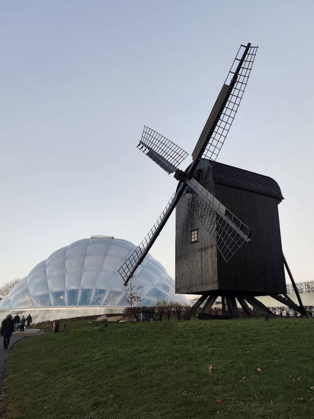 🌿 A Calm, Green Escape at Botanisk Have 🌿 A Calm, Green Escape at Botanisk Have
