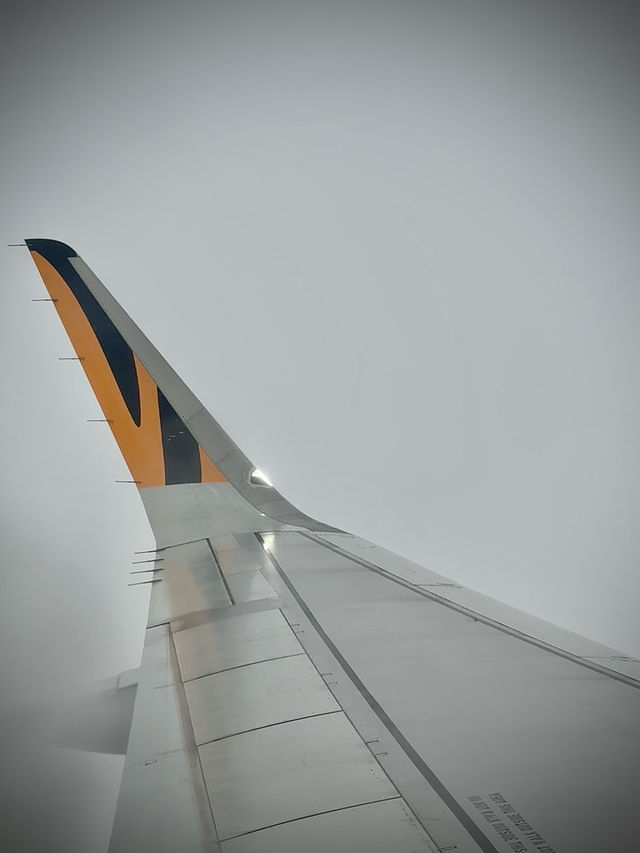 用雙眼、雙腳走進北海道的雪白世界裡