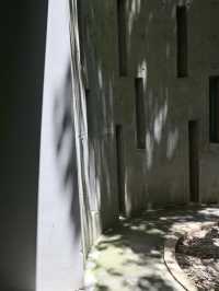 隱藏在市區裏的綠野仙蹤💕深圳(燕晗山郊野公園)治癒祕境