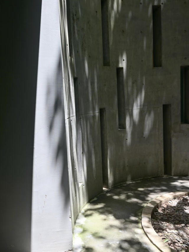 隱藏在市區裏的綠野仙蹤💕深圳(燕晗山郊野公園)治癒祕境 隱藏在市區裏的綠野仙蹤💕深圳(燕晗山郊野公園)治癒祕境