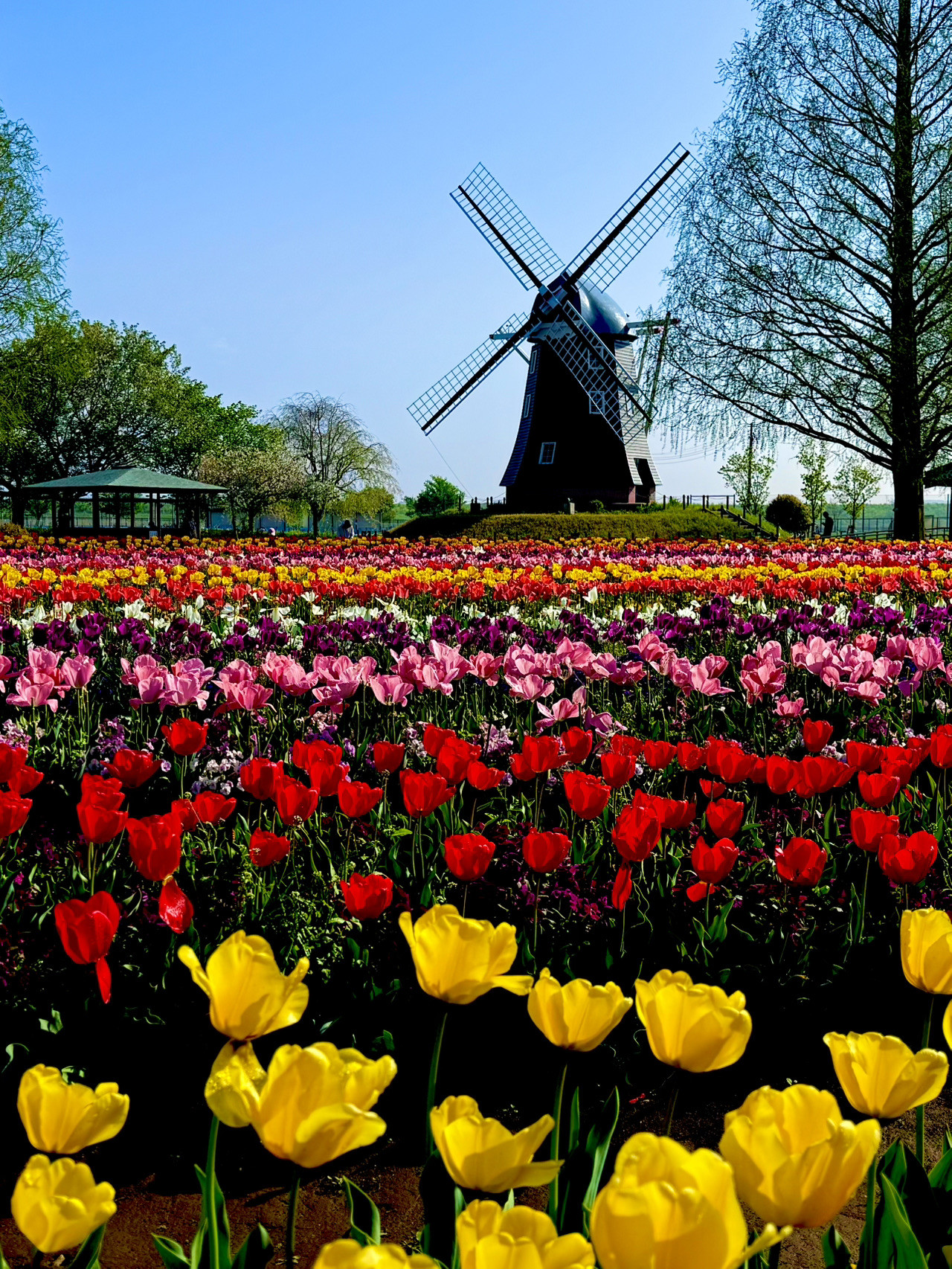 akebonoyama agriculture park