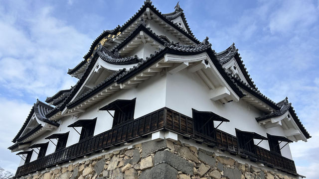 日本國寶 彥根城