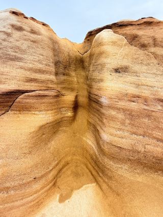 和歌山縣 10 日行程