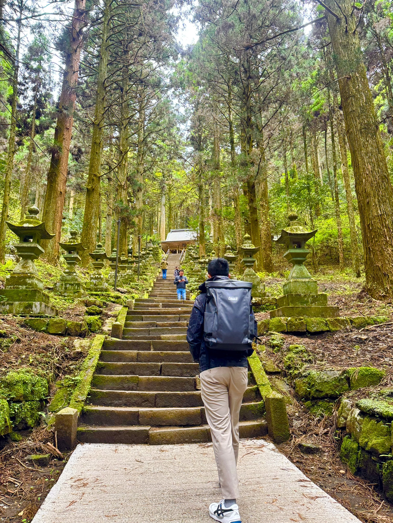 Trải nghiệm chuyến đi bộ yên tĩnh trên con đường núi tại đền Kamishimi Kumanozha 🌲