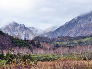 Tsugaike Natural Park