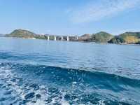 日本三大急流之一：德島鳴門漩渦🌀