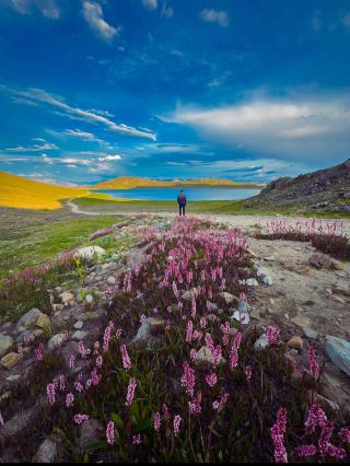 🏔️ Deosai National Park, 
