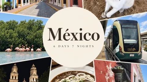【メキシコ】6泊7日!メリダ・カンペチェ・セレストゥンを巡る旅🇲🇽 — traveler post in メリダ