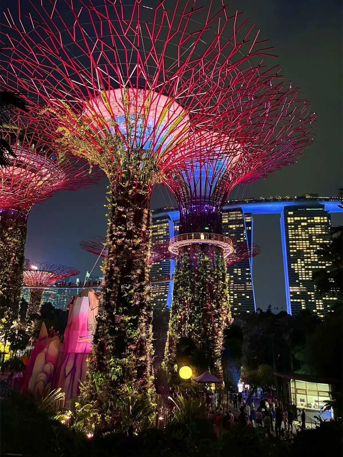濱海灣花園：日夜氣氛 🌱✨