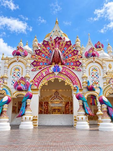 🎡 Carnival Magic ภูเก็ต อาณาจักรแห่งแสงสีสุดมหัศจรรย์ ตระการตากับค่ำคืนแห่งความสุข

หากมาเที่ยวภูเก็ตแล้วกำลังมองหาสถานที่ท่องเที่ยวที่เต็มไปด้วยสีสันและความตื่นตาตื่นใจ ต้องไม่พลาด Carnival Magic (คาร์นิวัลเมจิก) สวนสนุกและแหล่งท่องเที่ยวกลางคืนสุดอลังการ ที่เนรมิตโลกแห่งจินตนาการให้กลายเป็นความมหัศจรรย์ด้วยแสงไฟหลากสีสันและการตกแต่งสุดสร้างสรรค์ ✨🎠

ภายในเต็มไปด้วยมุมถ่ายภาพสวย ๆ อาคารสีสันสดใส และบรรยากาศที่เหมือนหลุดเข้าไปในโลกแฟนตาซี ไฮไลต์สำคัญคืออาณาจักรแห่งแสงไฟที่ส่องประกายระยิบระยับ สร้างความประทับใจให้กับผู้มาเยือนตลอดค่ำคืน พร้อมการแสดงที่ผสมผสานความบันเทิงและความคิดสร้างสรรค์ได้อย่างลงตัว 🌈🎆

ที่นี่เหมาะสำหรับการเที่ยวกับครอบครัว คนรัก หรือกลุ่มเพื่อน เพราะมีทั้งความสนุก ความสวยงาม และประสบการณ์ที่แตกต่างจากการเที่ยวทะเลทั่วไป ใครมีแพลนมาเที่ยวภูเก็ต อย่าลืมแวะมาสัมผัสความมหัศจรรย์ของค่ำคืนที่ Carnival Magic กันนะครับ ❤️

📍 Carnival Magic หาดกมลา จังหวัดภูเก็ต

#CarnivalMagic #คาร์นิวัลเมจิก #ภูเก็ต #เที่ยวภูเก็ต #ที่เที่ยวภูเก็ต #เมืองแห่งแสงสี #สวนสนุก #รีวิวท่องเที่ยว #เที่ยวกับครอบครัว #เที่ยวภาคใต้ #เที่ยวไทย #tripcom #trip #amazingthailand 