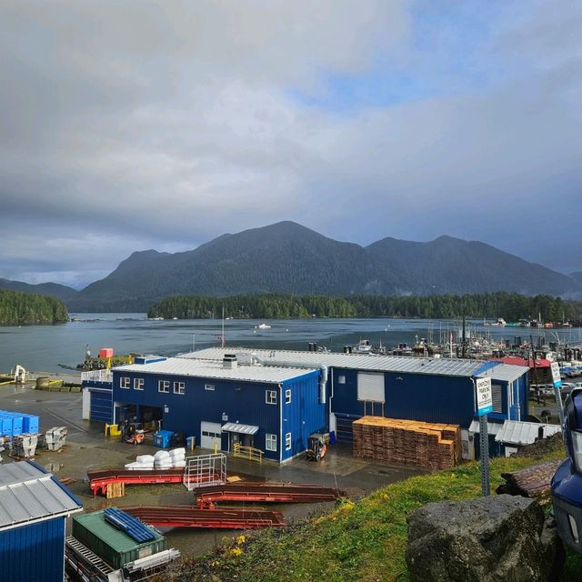 Beautiful & Refreshing Tofino!