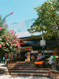 オアハカから気軽に行けるビーチリゾート🏝️プエルト・エスコンディード🇲🇽