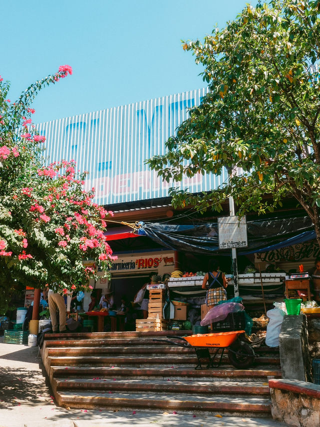 オアハカから気軽に行けるビーチリゾート🏝️プエルト・エスコンディード🇲🇽