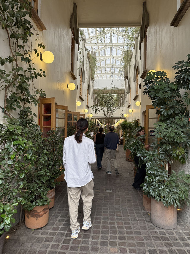 メキシコの魅力🇲🇽