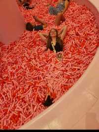 I Scream For Ice Cream 