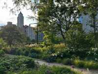 Where Art Meets Nature: The Living Canvas of Millennium Park