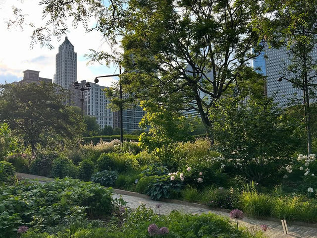Where Art Meets Nature: The Living Canvas of Millennium Park