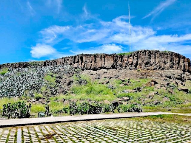 青灣仙人掌公園
