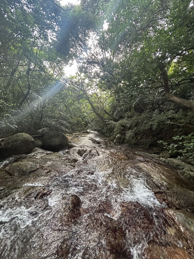 海もいいけど滝も！🇯🇵 石垣島の秘境【荒川の滝】🗾
