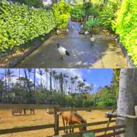 Southeast Botanical Garden