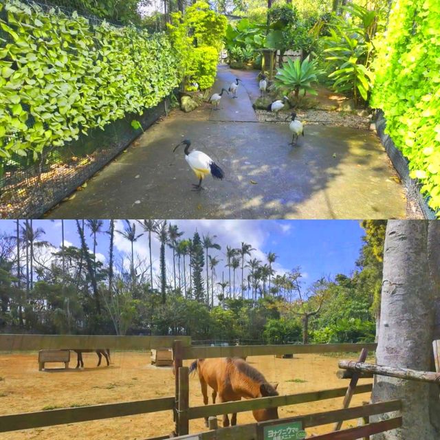 Southeast Botanical Garden