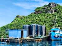 Amazing Boheydulang Island