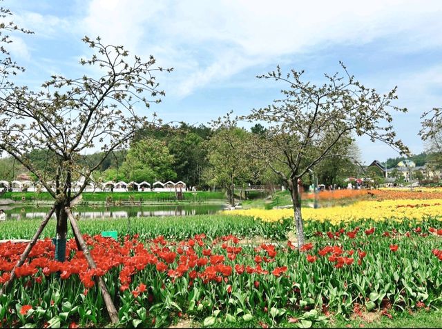 長沙園林生態園